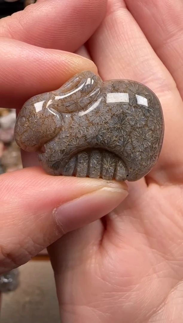 硅化珊瑚（珊瑚玉）未镶嵌颈饰601