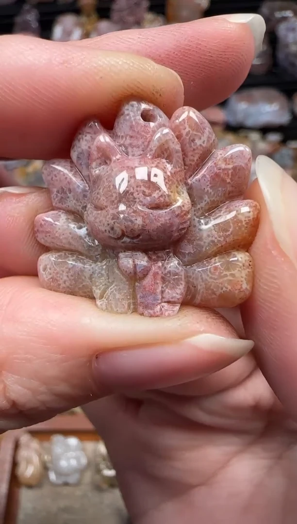 颈饰未镶嵌硅化珊瑚（珊瑚玉）902