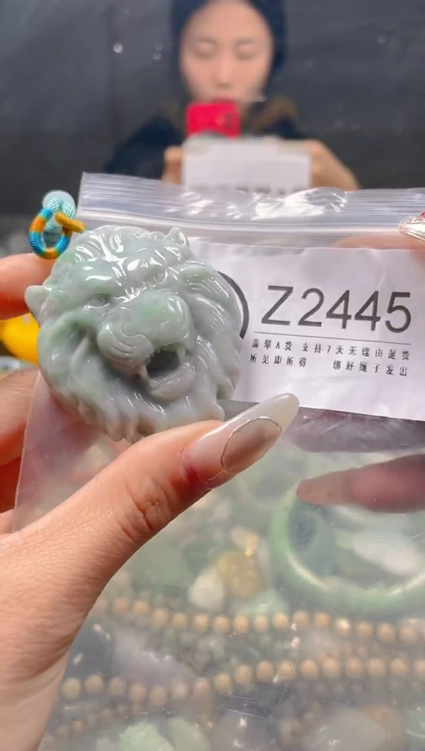 【闪购商品】翡翠颈饰未镶嵌/Z/翡翠A货一图一物