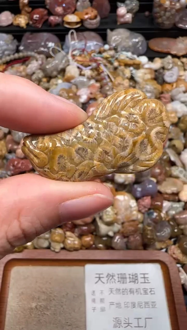 硅化珊瑚（珊瑚玉）未镶嵌颈饰001