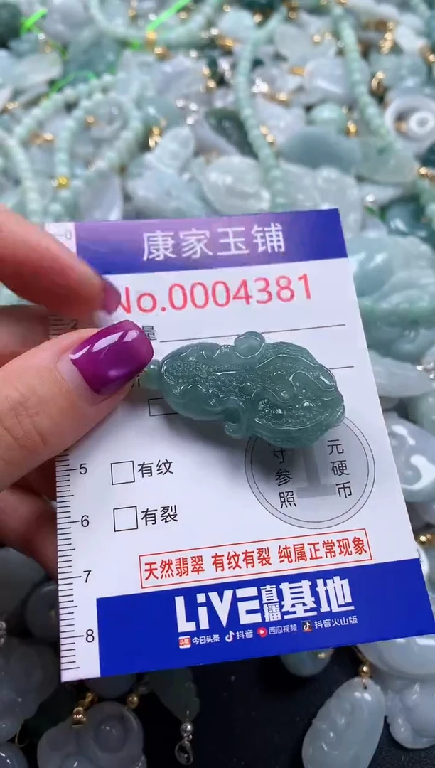 颈饰未镶嵌翡翠4381