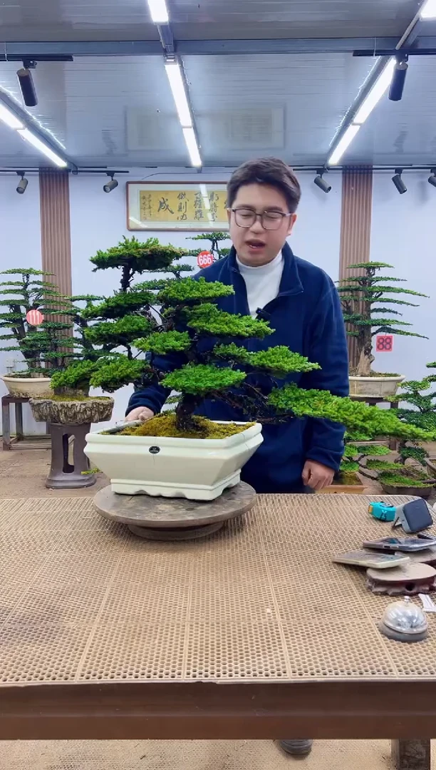 无花朵000000000000000000