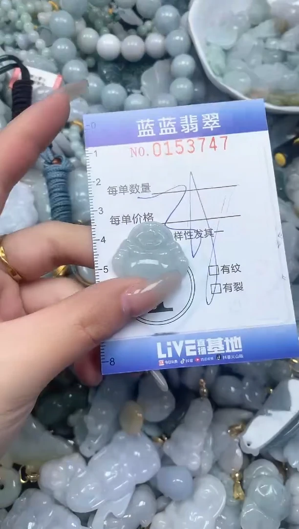 【闪购商品】翡翠颈饰未镶嵌闪购0153747