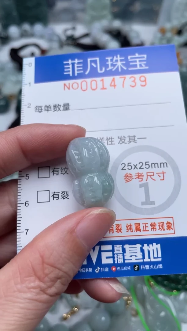 颈饰未镶嵌翡翠14739