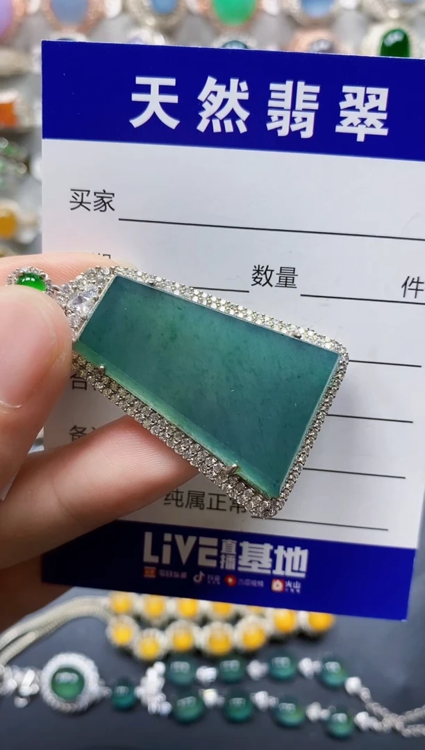 翡翠银S925镶嵌颈饰220