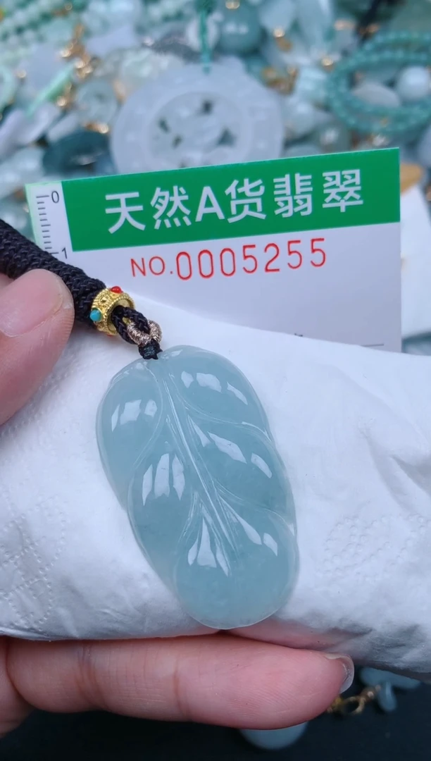 翡翠未镶嵌颈饰.0005255