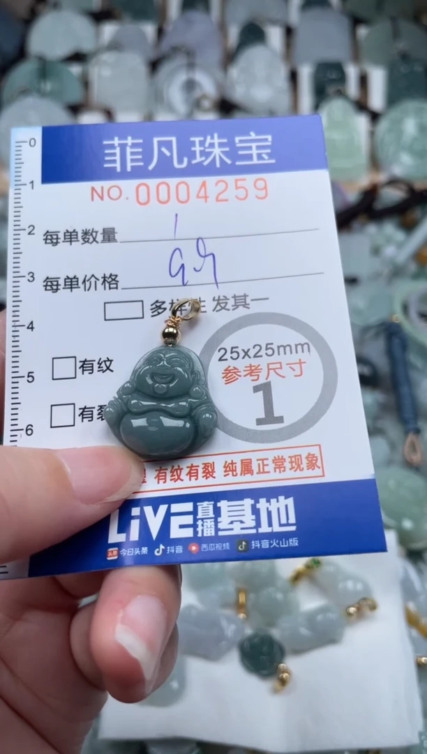 翡翠未镶嵌颈饰00..4259