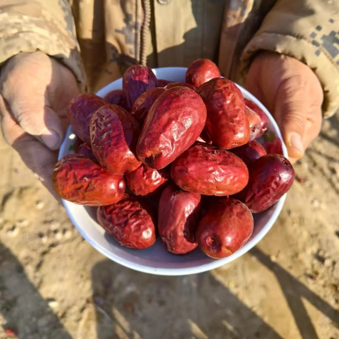 新疆和田大枣【优惠二斤装】不带土原产地发货肉厚核小好吃