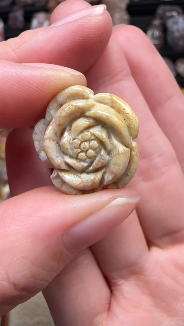 颈饰未镶嵌硅化珊瑚（珊瑚玉）849