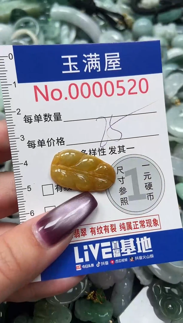 颈饰未镶嵌翡翠520