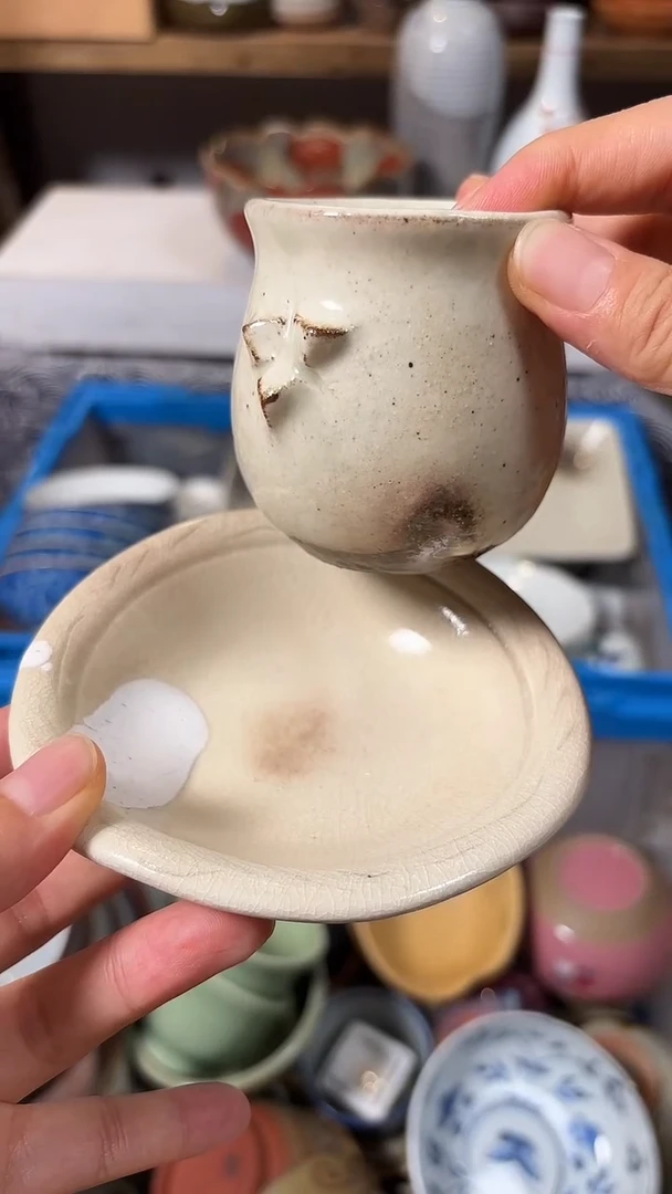 瓷片喵喵家都是大漂亮