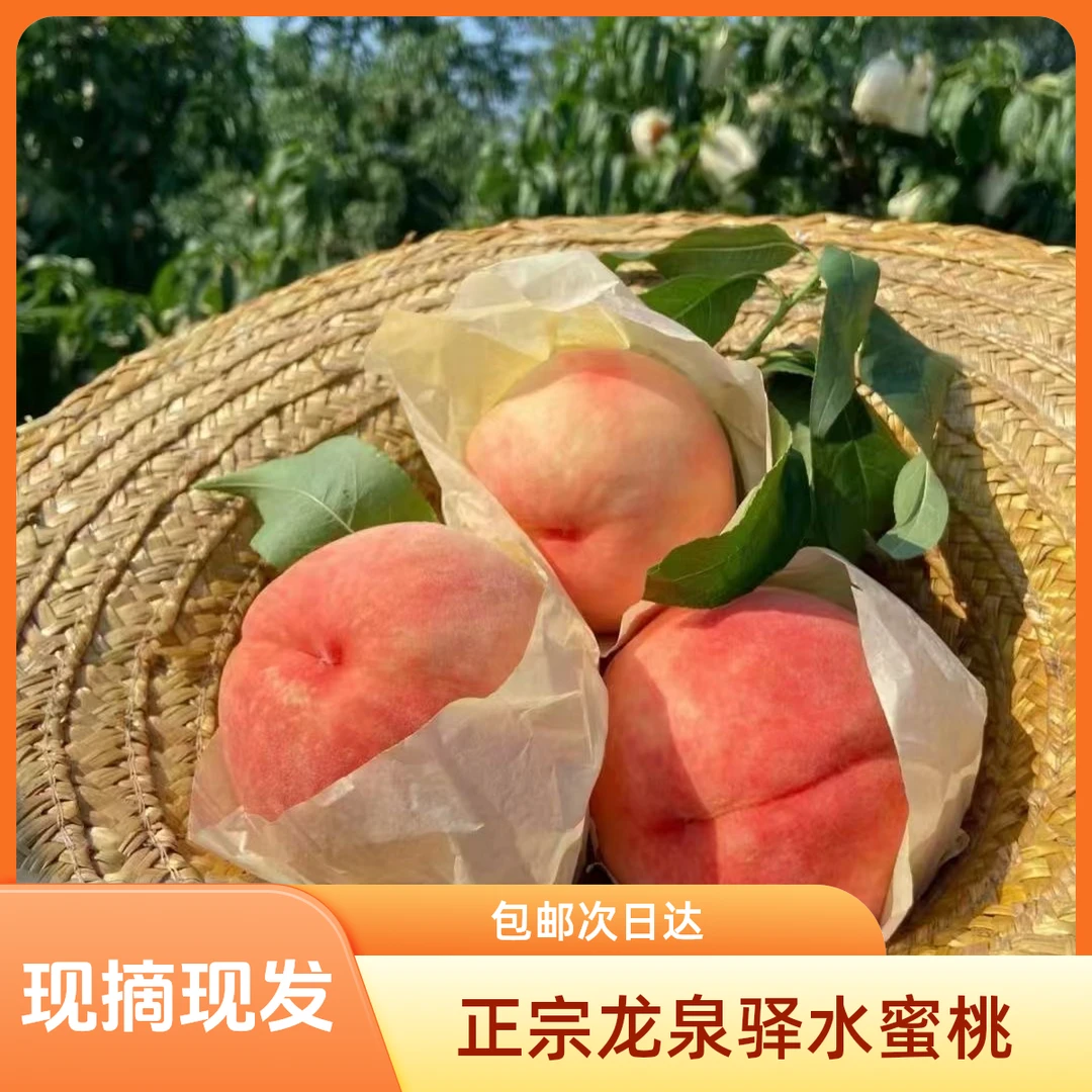 【顺丰包邮】脆桃～正宗龙泉驿水蜜桃 现摘现发
