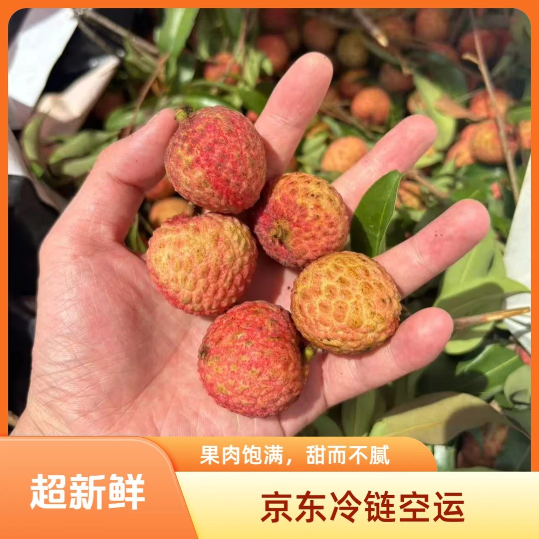 广东省内拍[今天拍次日达]正宗糯米糍大荔枝鲜京东冷链3斤装广东