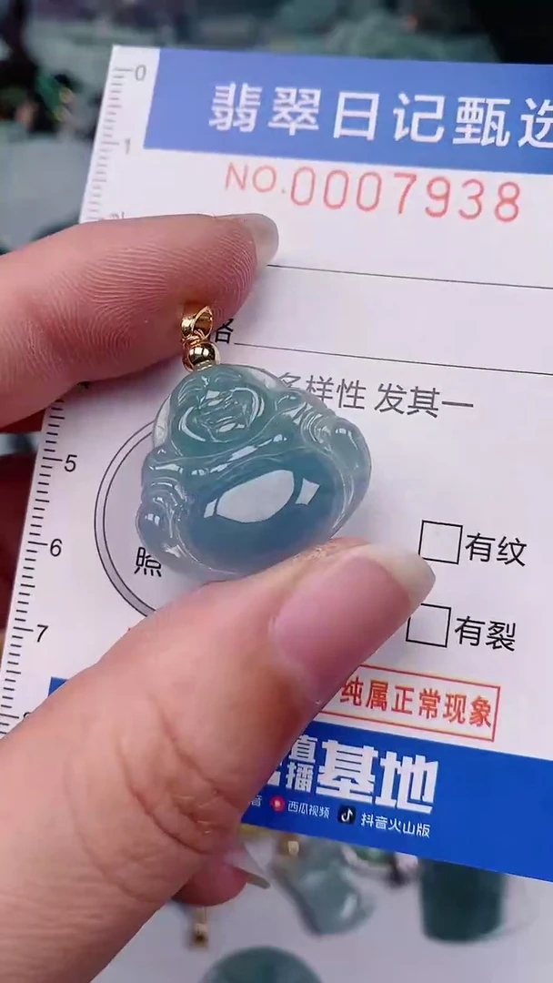 【闪购商品】翡翠颈饰未镶嵌00007938