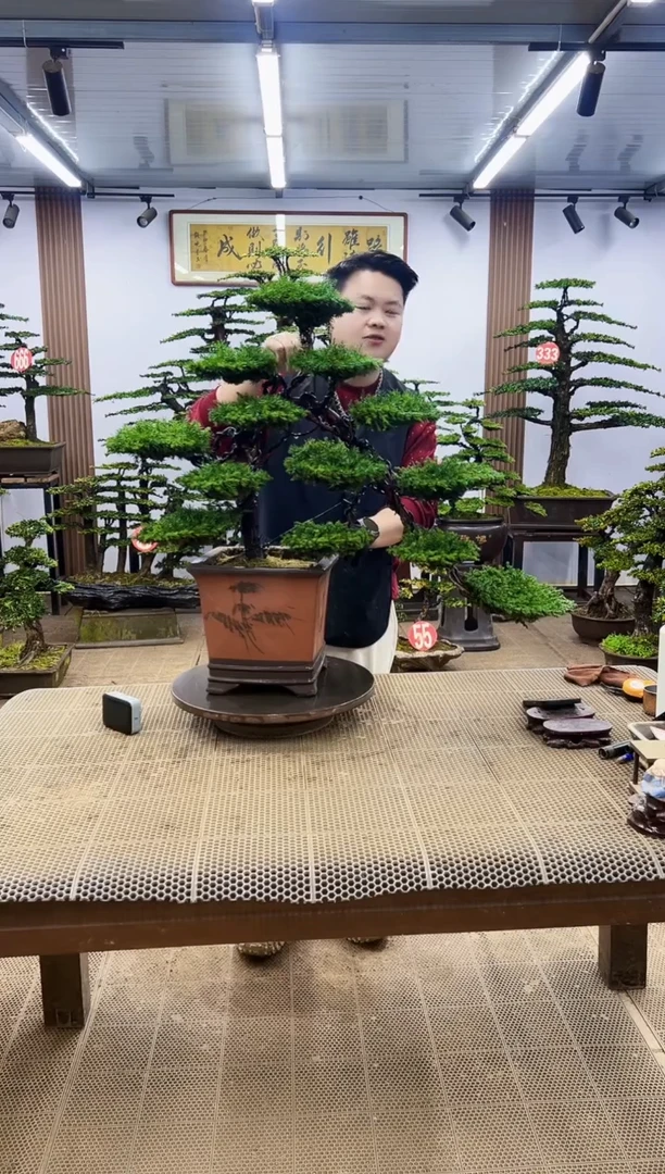【闪购商品】00000000