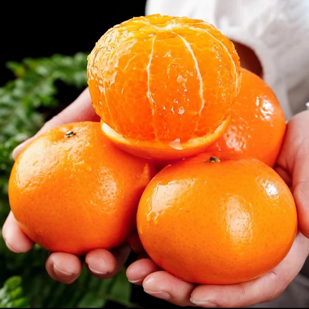 广西武鸣沃柑4.5斤 当季新鲜水果香甜多汁多仓发货j