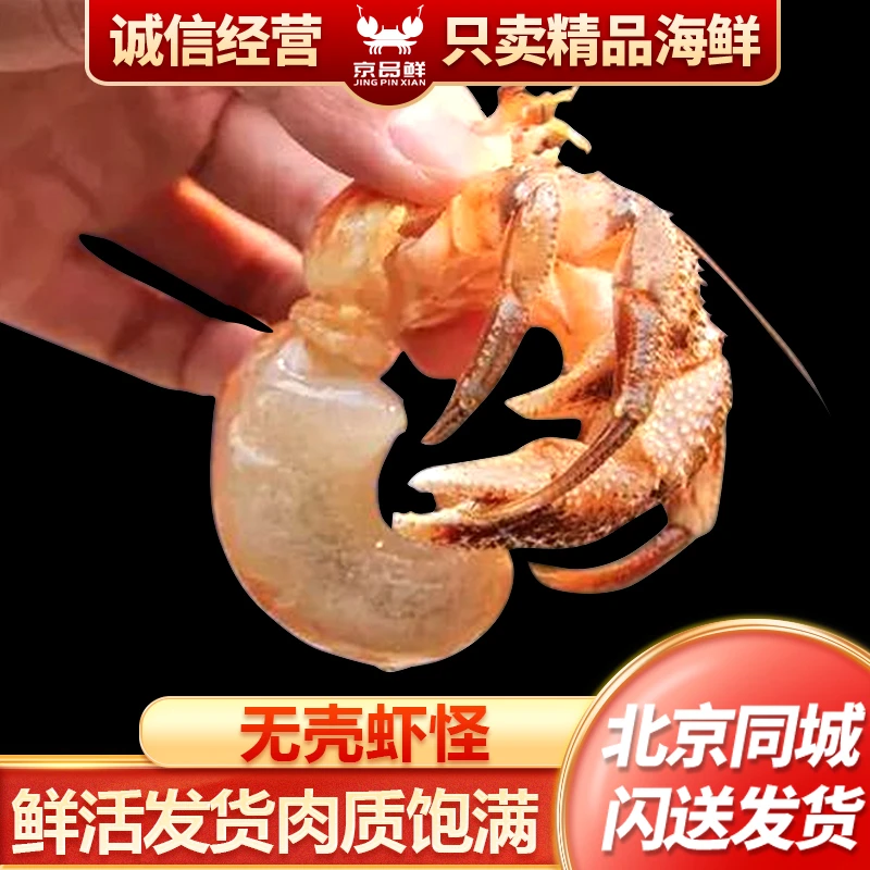 【牺牲的】 虾怪 海怪 寄居蟹 一份一斤