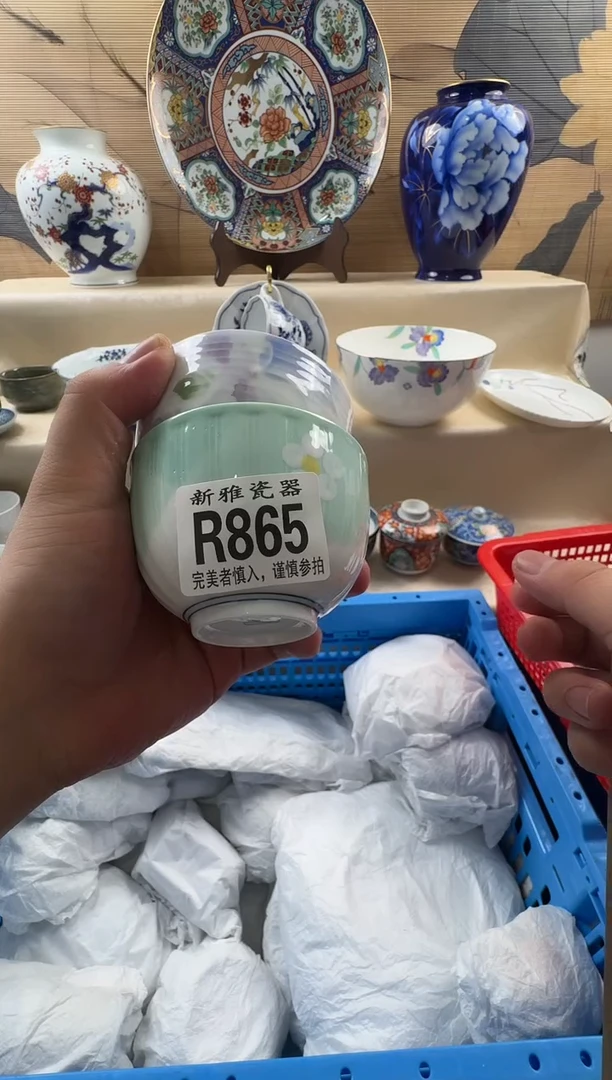 瓷片左****1           R865