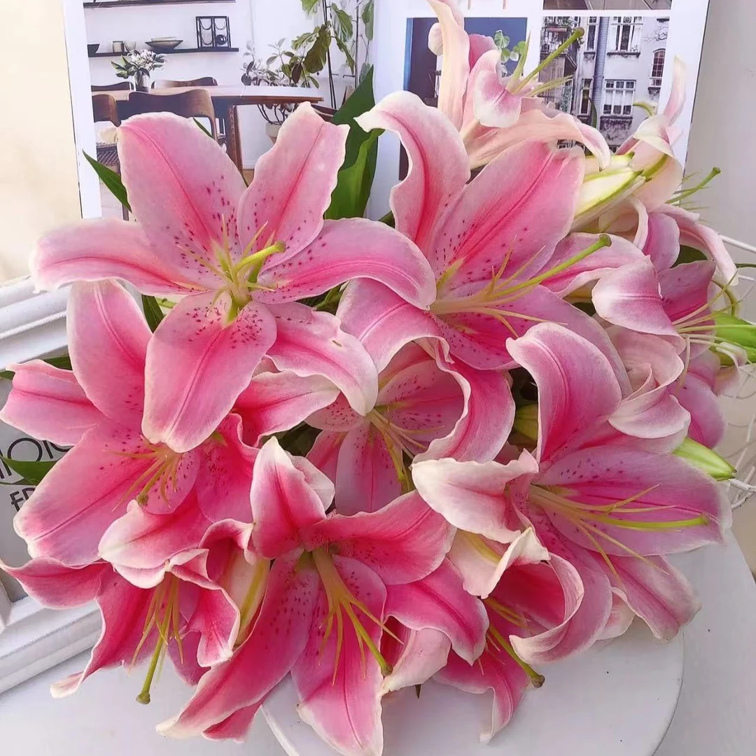 【粉百合】全场鲜花任意满两单升级冷链加配草 三单送花瓶