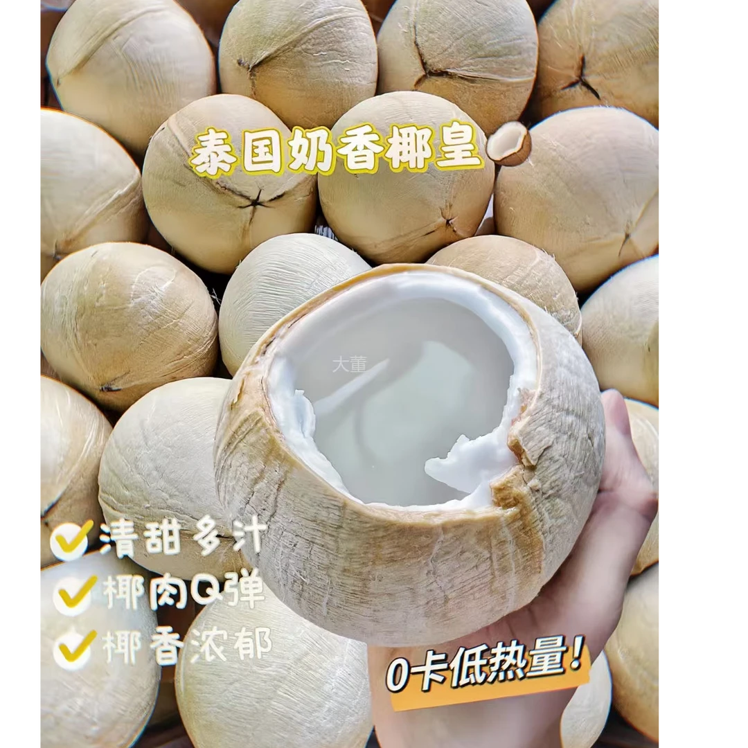 【济宁可拍-大董】泰国易开椰皇 12个/箱