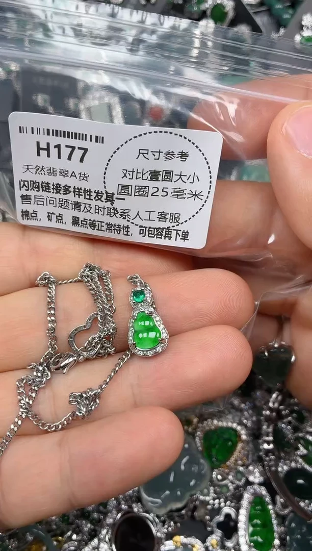 颈饰未镶嵌翡翠H177项链