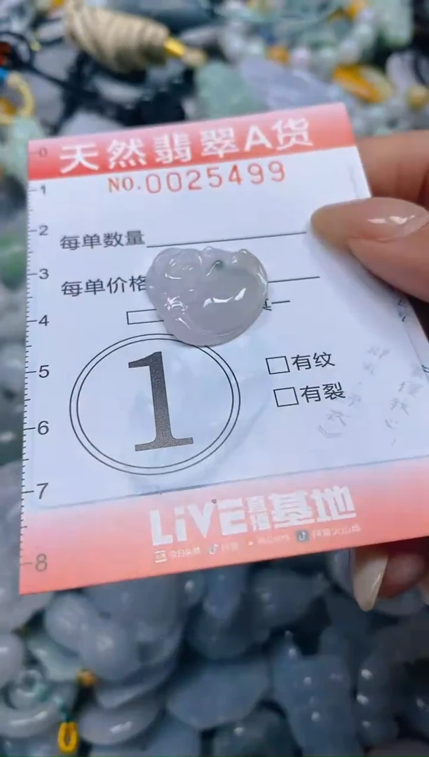 翡翠未镶嵌颈饰闪购0025499