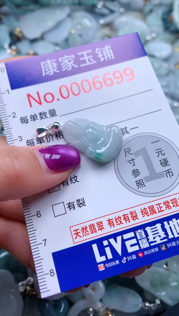 颈饰未镶嵌翡翠6699