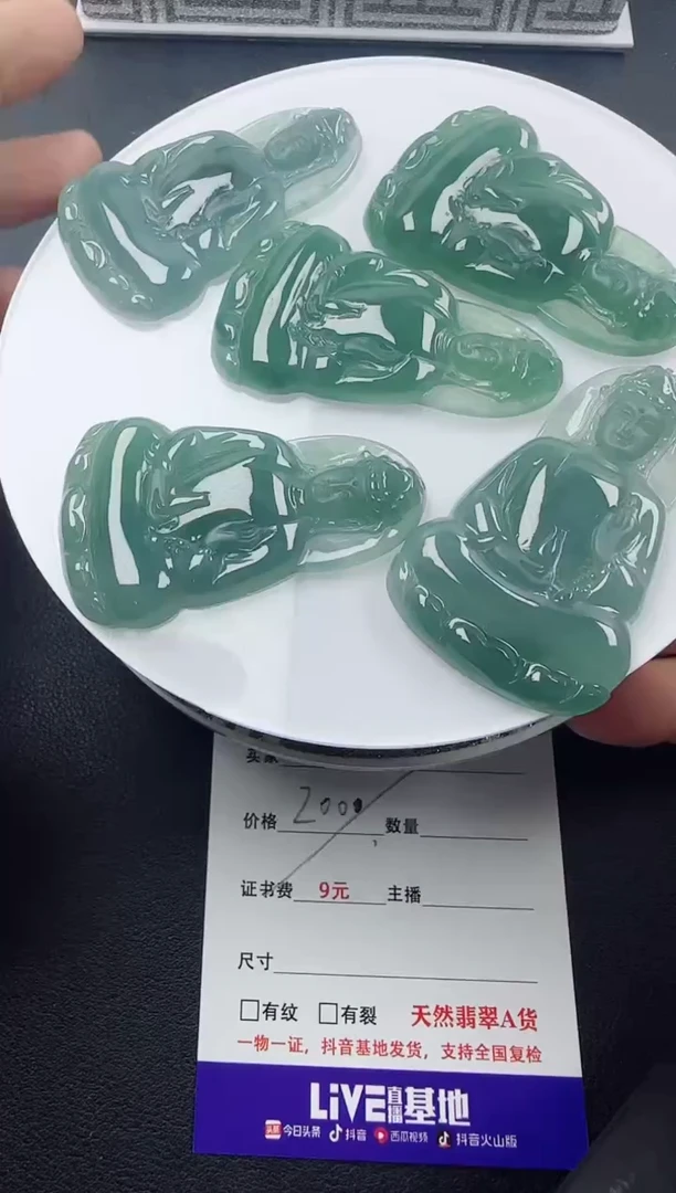 【闪购商品】翡翠颈饰未镶嵌翡翠素衣观音（多样性发其一）