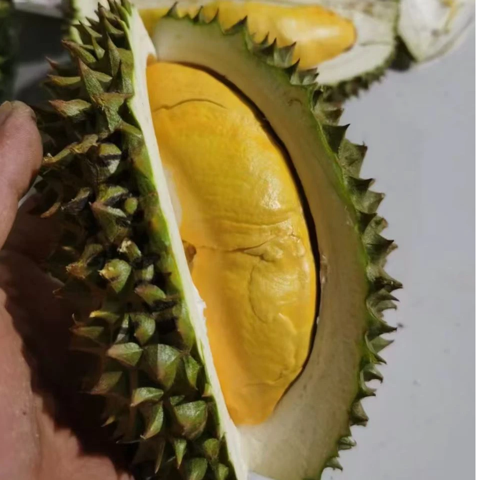 1空运树熟鲜榴莲-软金月3-5KG 核大软金月泰国