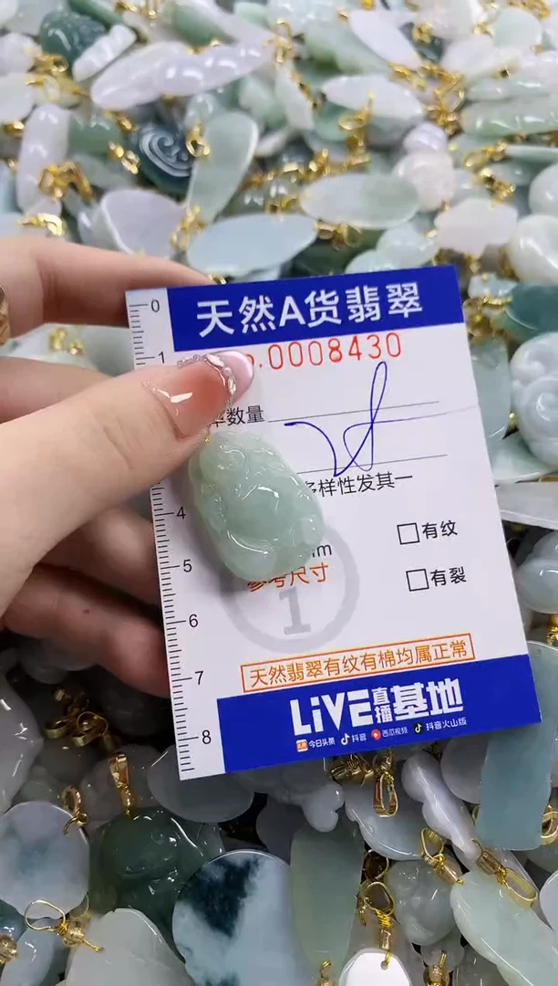颈饰未镶嵌翡翠天然A货翡翠