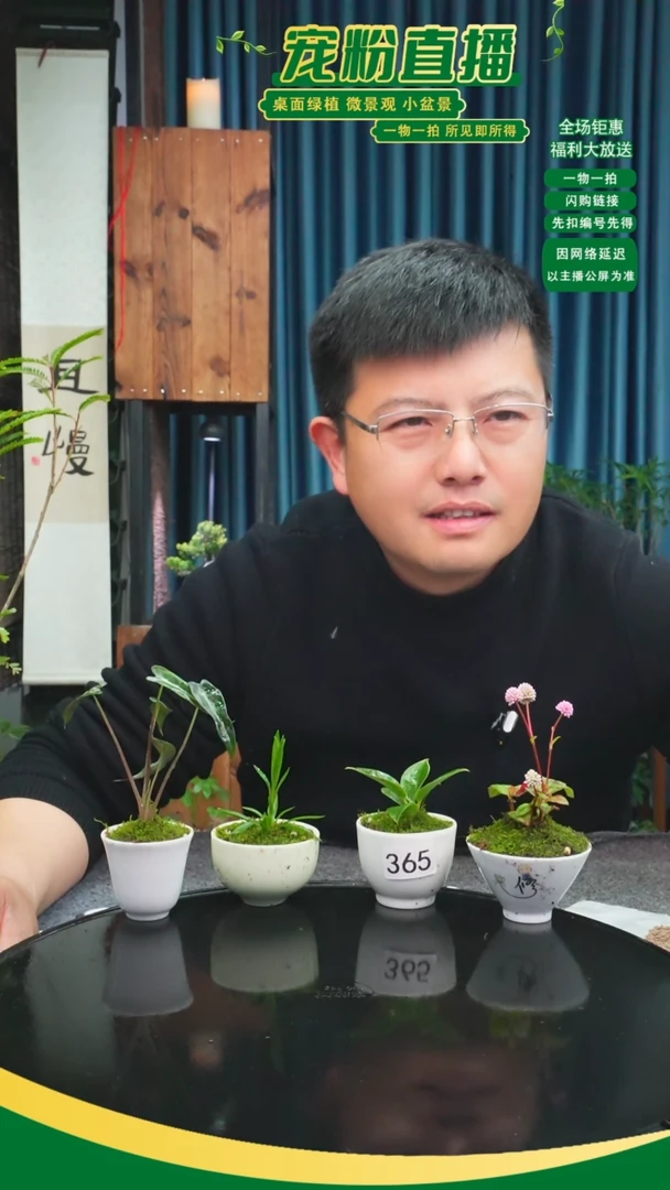 无花朵南****光苔藓微景观365号