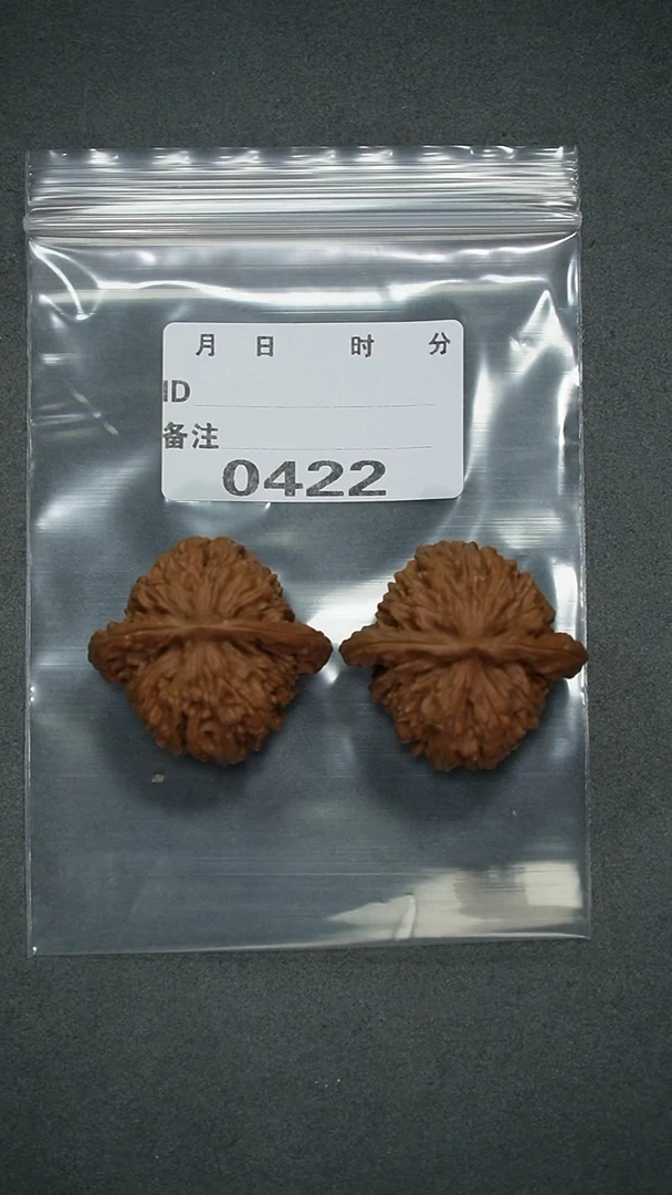 【闪购商品】文玩核桃把件39百年楼