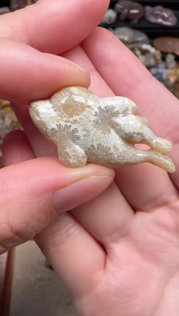 颈饰未镶嵌硅化珊瑚（珊瑚玉）637