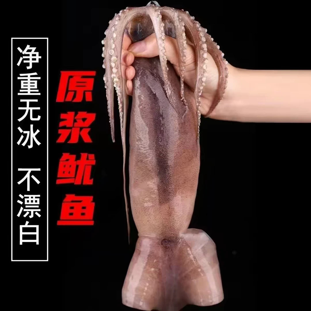 野生深海原浆鱿鱼,顺丰发货,带墨带内脏包邮到家!