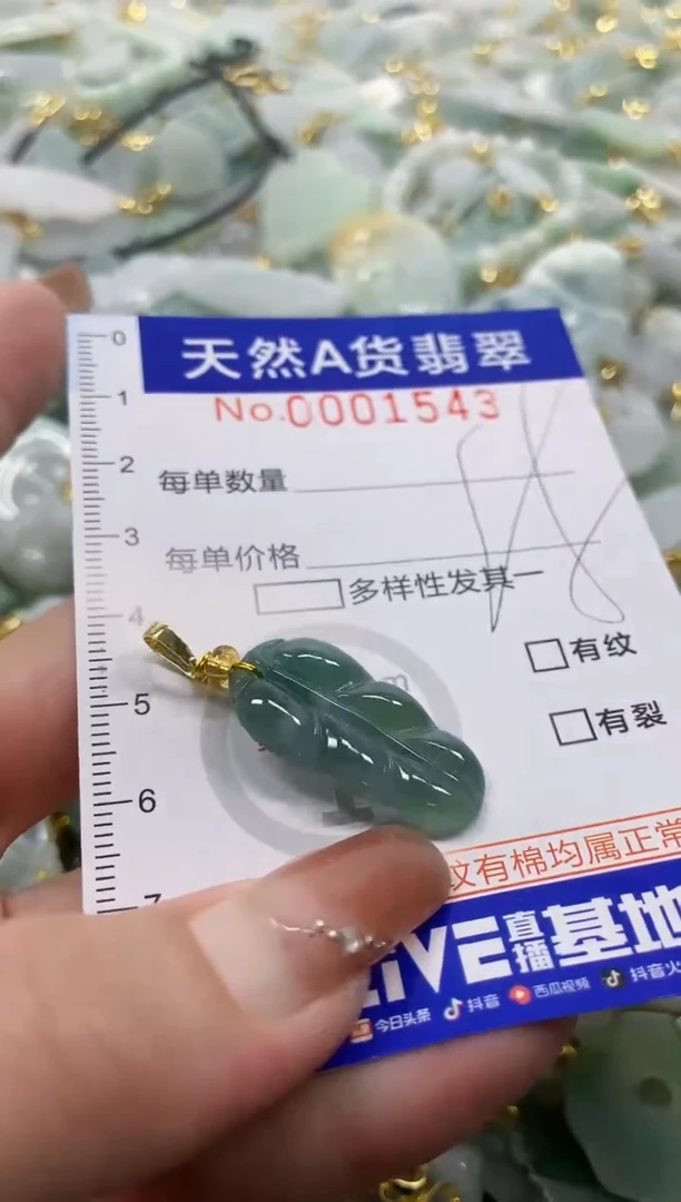 颈饰未镶嵌翡翠天然A货翡翠