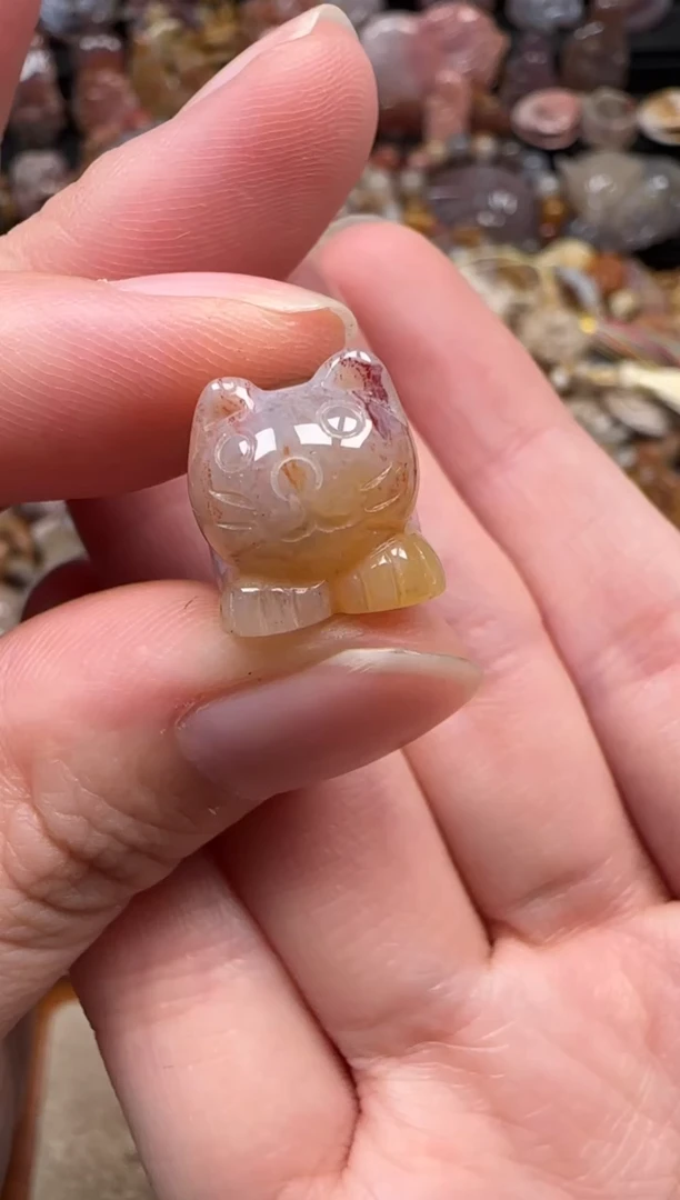 颈饰未镶嵌硅化珊瑚（珊瑚玉）076