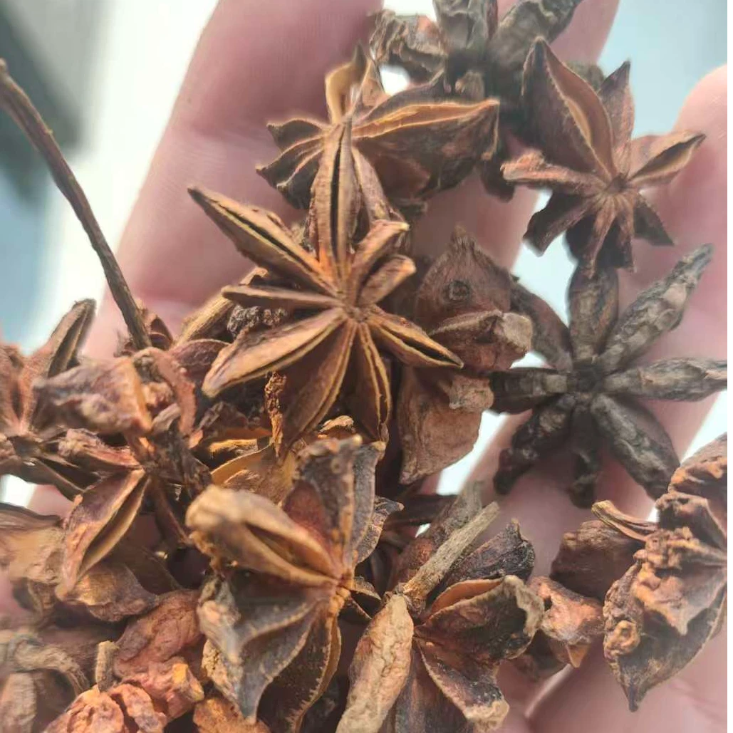 八角浓郁香味家庭用调料佳品