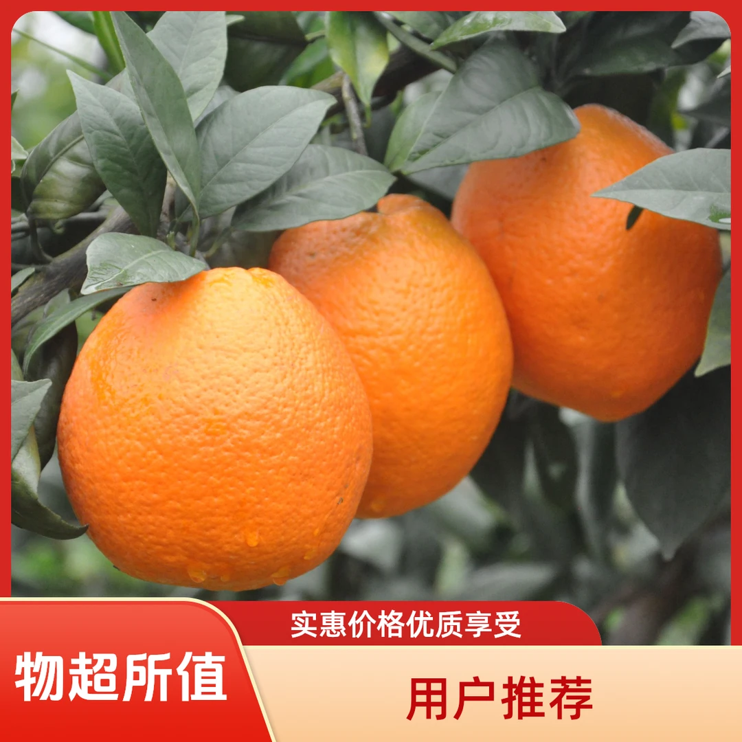正宗重庆龙回红脐橙新鲜采摘多汁鲜嫩爽口自然种植坏果烂果包赔