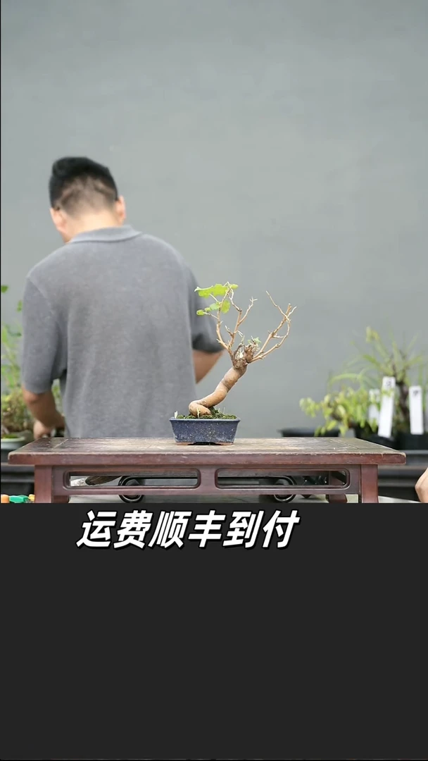 大***哥77