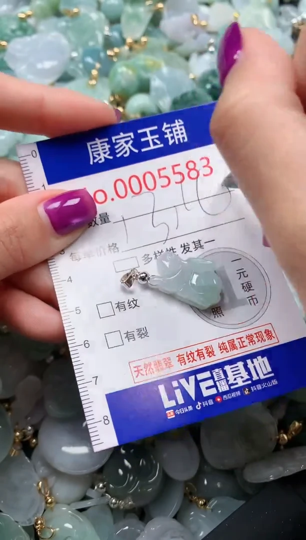 颈饰未镶嵌翡翠5583