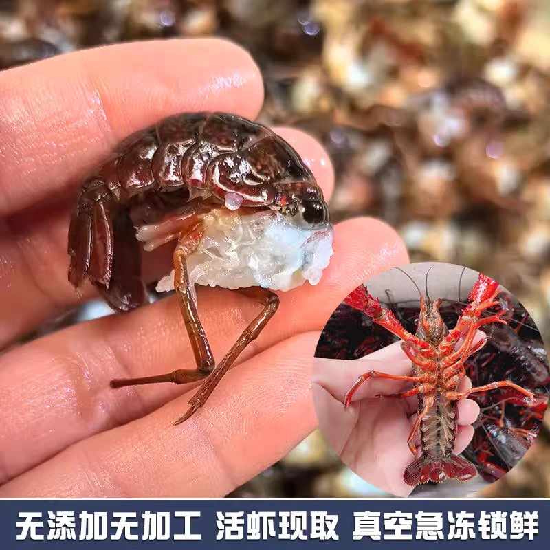【人工现剥】潜江头茬新鲜现剥龙虾8斤，去头抽虾线