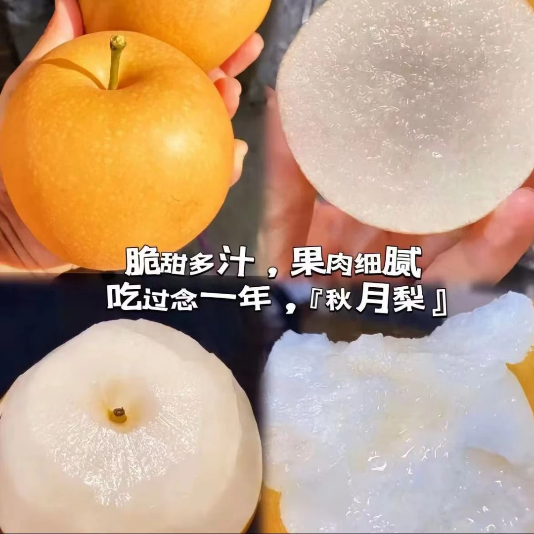 【顺丰22-25号发货】郭一瓶水果山东自然成熟秋月梨净重4.8斤