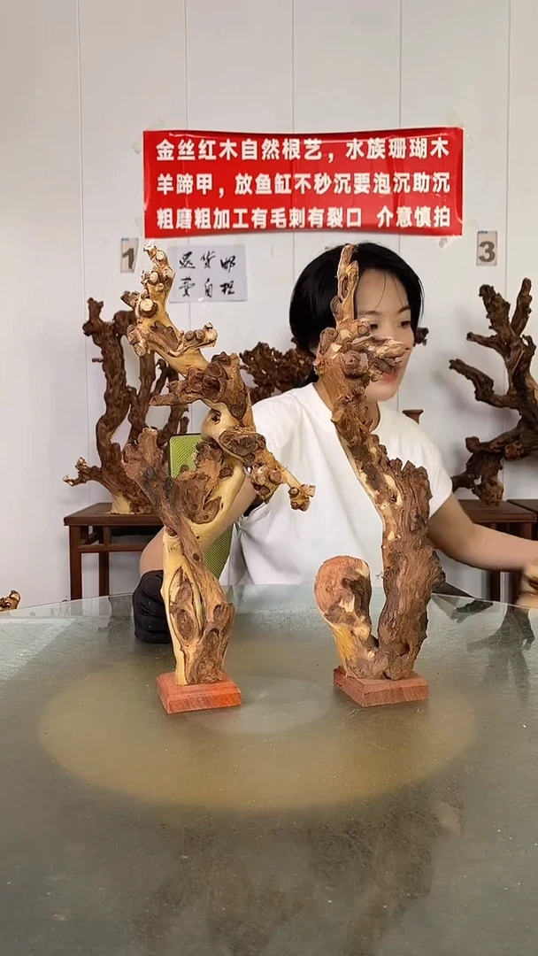香榧木西*君金丝红木   羊蹄甲2