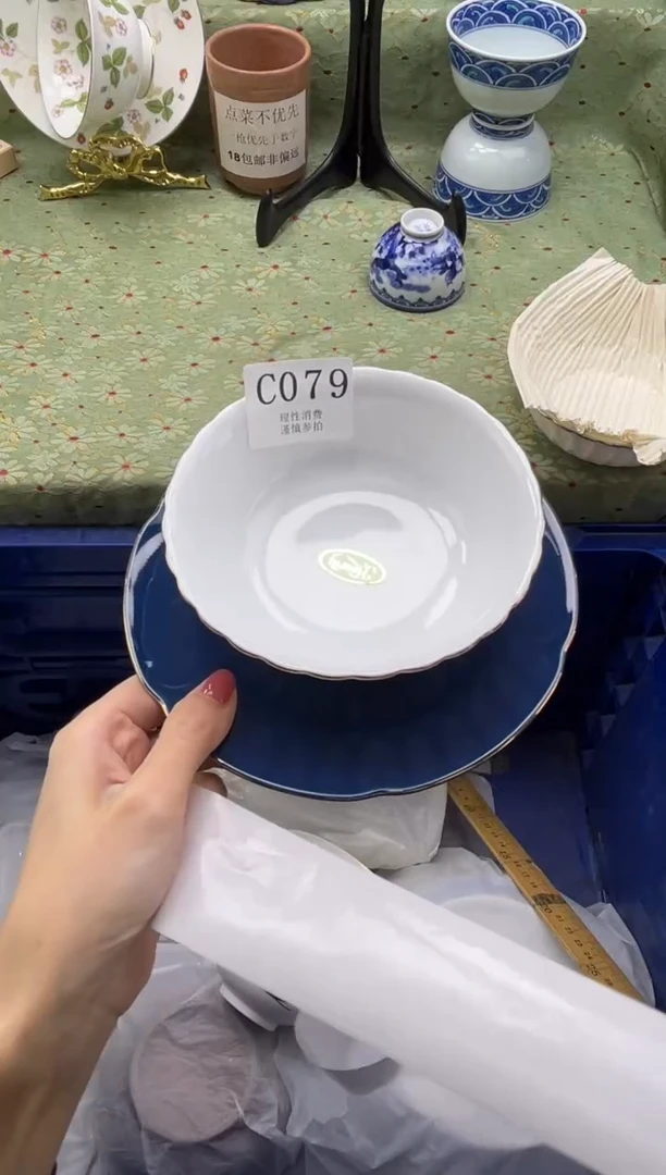 瓷片在****体    C079