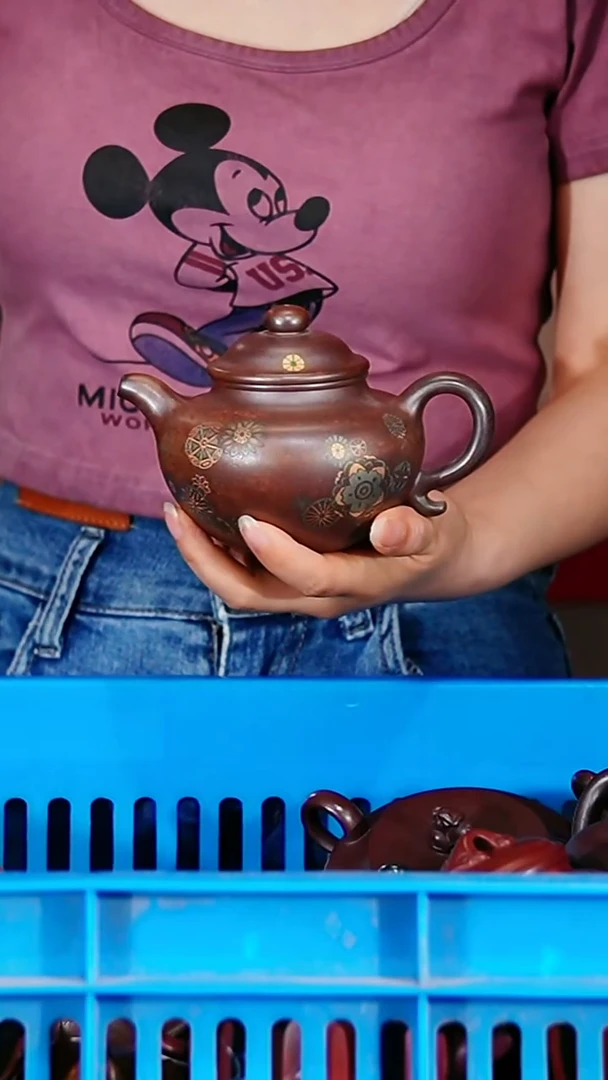宜兴原矿紫砂壶茶壶300C