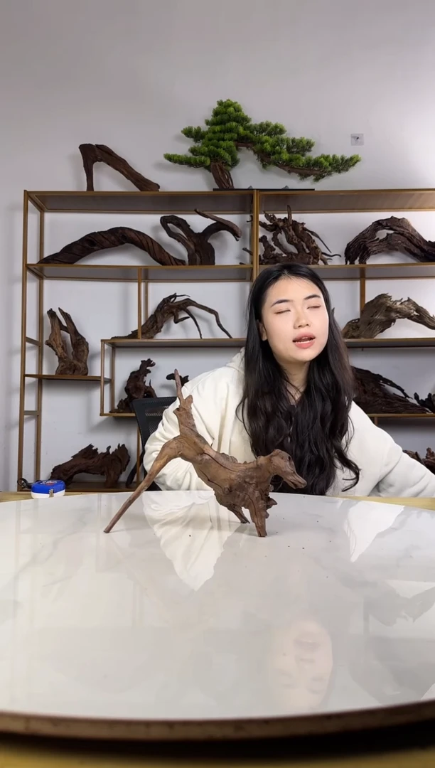 蛋***乖拍沉木定向链接编号25