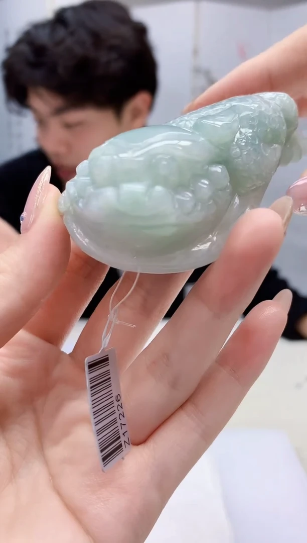 【闪购商品】定制翡翠未镶嵌5145jw-毛货挂件赠圆盘174