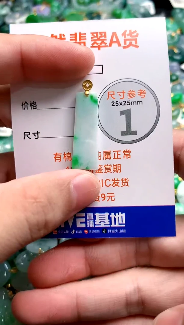 颈饰未镶嵌翡翠13006262