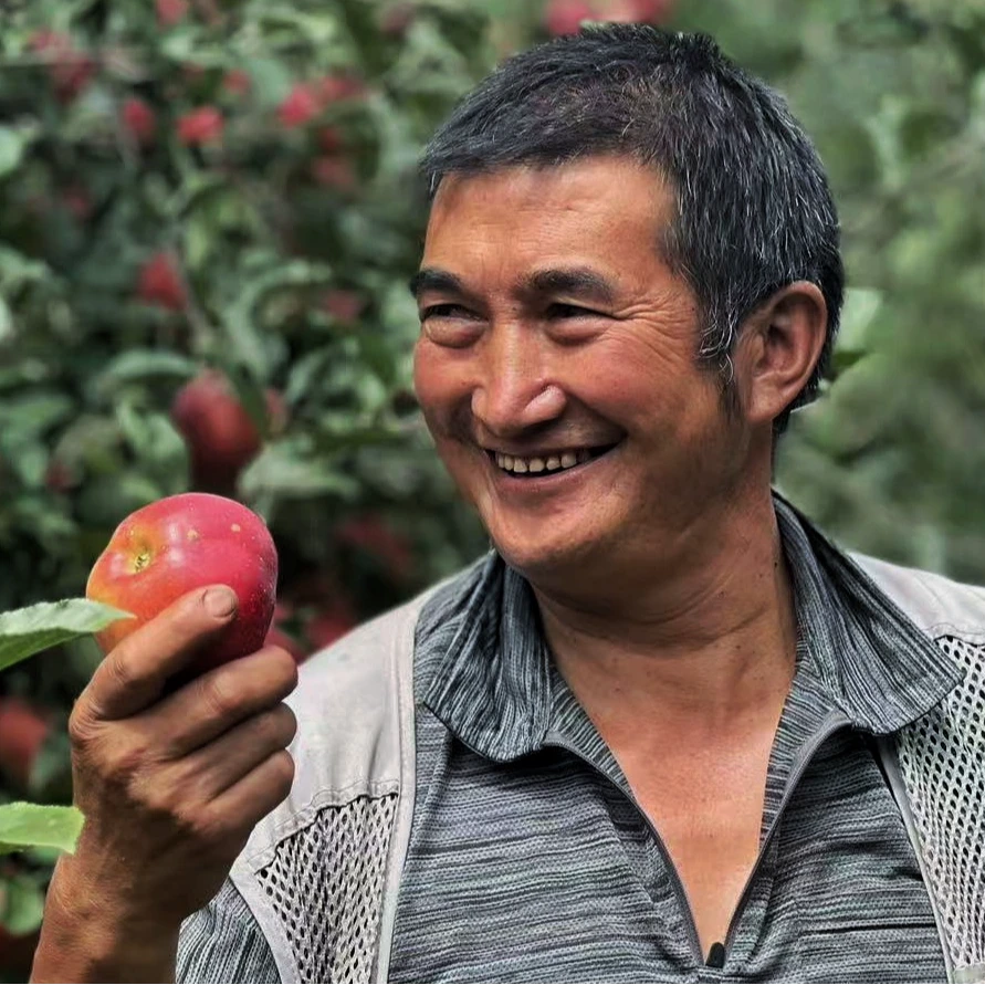 四川大凉山盐源丑苹果高山苹果现摘现发坏果包赔