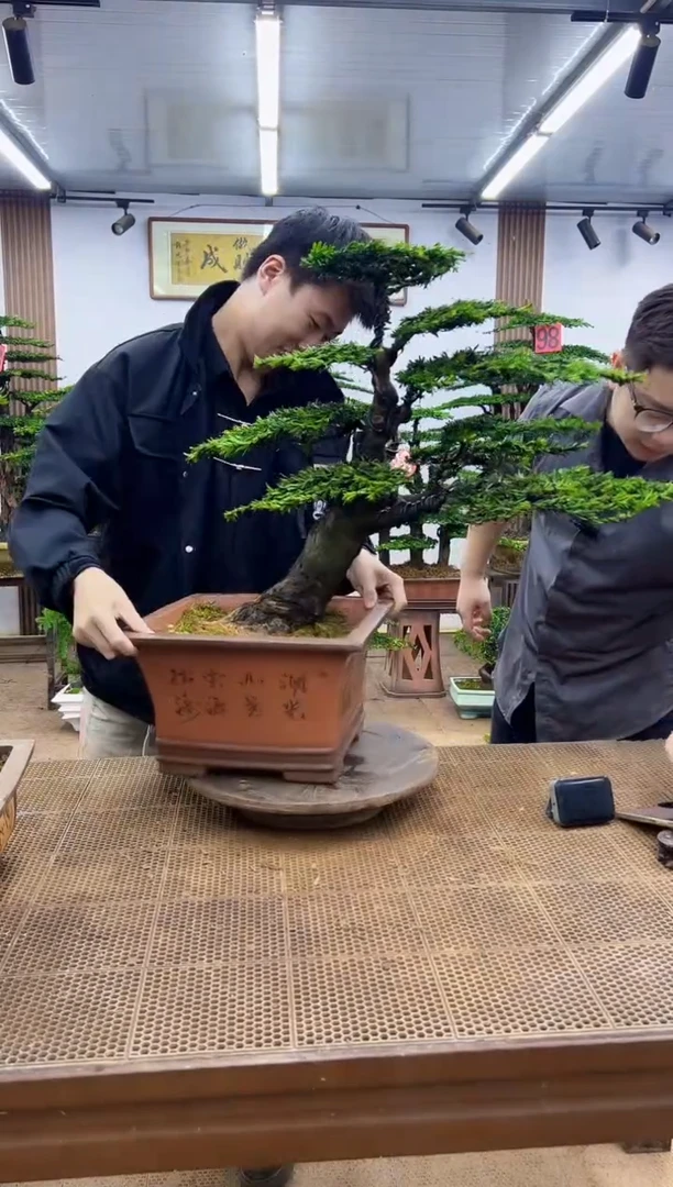 无花朵一物一拍，所见即所得